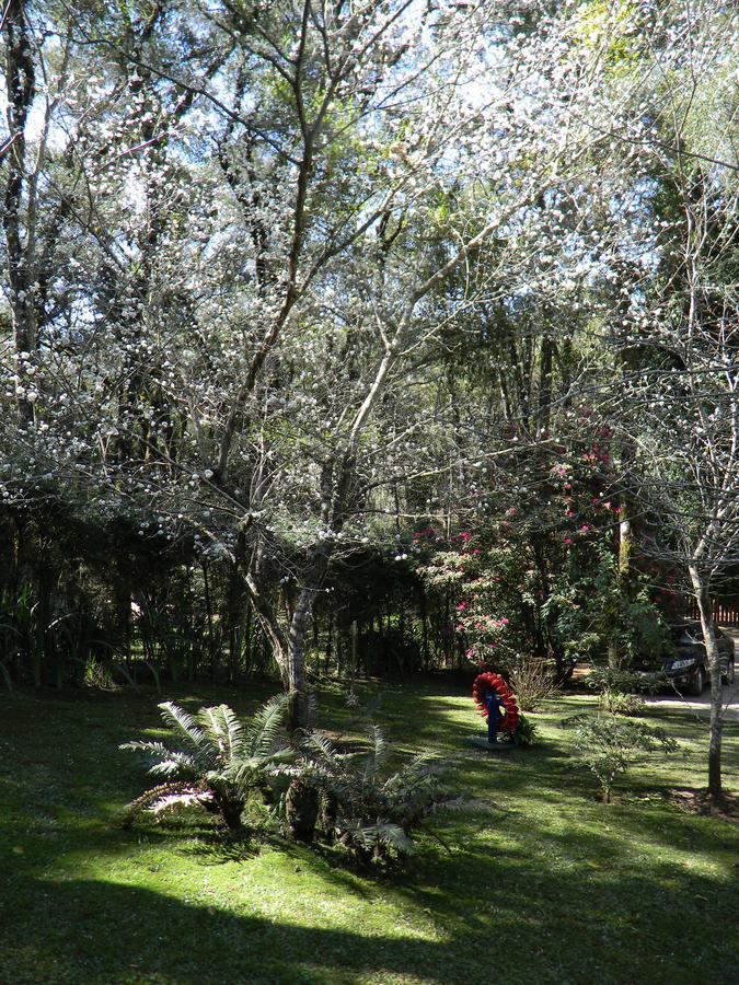 Recanto Dos Kerr Monte Verde  Exteriör bild